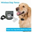 Premier Pet Wireless Fence for Dogs